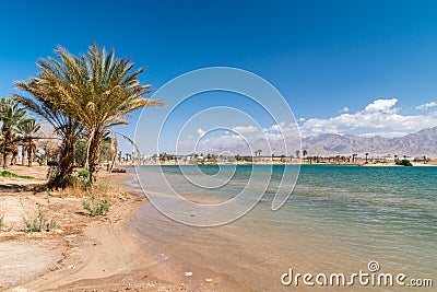 View of New Marina lake in Eilat, Israel Stock Photo