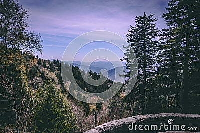 View from Newfound Gap in the Great Smoky Mountains NP Stock Photo