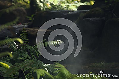 R blue water and tropic beach on back Stock Photo