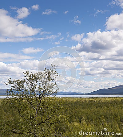 View from Nikkaloukta above the arctic circle in northern Sweden Stock Photo