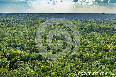 View from Nohoch Mul pyramid. Tropical rain forest with clouds and sky. Travel, nature photo. Mexico. Quintana roo. Stock Photo