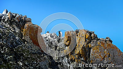 View of the Geographic North Pole Stock Photo