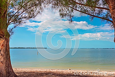 View of the ocean from the bay under the tree crowns Stock Photo
