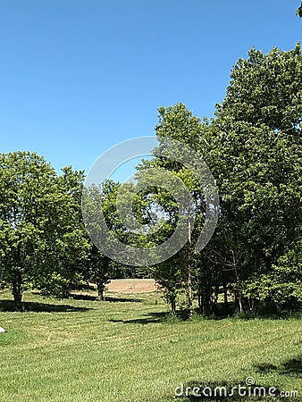 View of Ohio Cropland through Trees Stock Photo