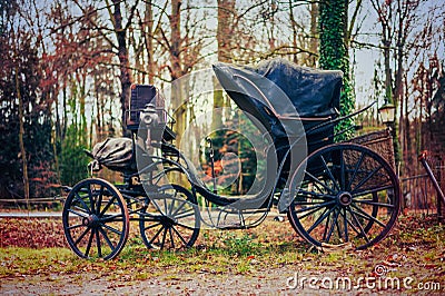 View of an old carriage with large wheels without a horse in the park Stock Photo