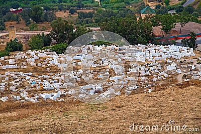View of the old cemetery in Fes near Marinid Tombs hill. Morocco Editorial Stock Photo