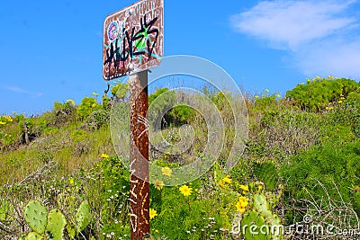 View of an old sign with graffiti on a hillside with yellow flowers and lush green leaves Stock Photo