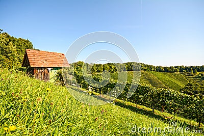 View at an old wooden hut in the vineyards, Southern Styria - Austria Stock Photo