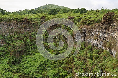 View of one of the twin volcanic craters in the highlands of Santa Cruz Stock Photo