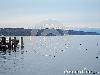 View over the Ammersee to the white mountains of the Alps. On the right a wooden jetty and some ducks and birds on the still water Stock Photo