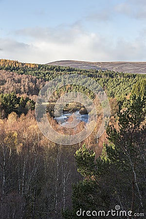 View over Autumn forest and River Dulnain at Sluggan in the Highlands of Scotland. Stock Photo