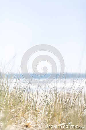 View over beach grasses to blue ocean on a warm summer day Stock Photo