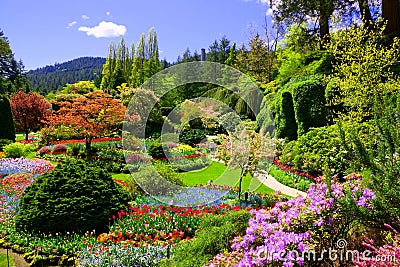 View over colorful flowers of a garden at springtime, Victoria, Canada Stock Photo