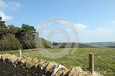 View over Dorset coast, Abbotsbury gardens Stock Photo