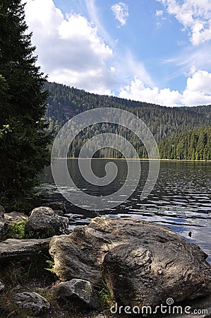 View over the Groï¿½er Arbersee in the Bavarian Forest Stock Photo