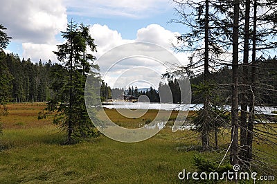 View over the Groï¿½er Arbersee to the Arberseehaus Stock Photo