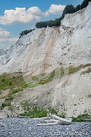 Moens Klint, Chalk formations in Denmark Stock Photo