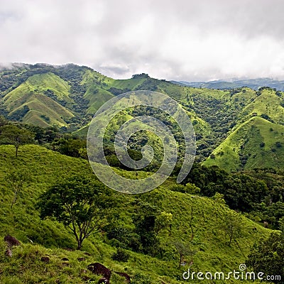 View over Monteverde Stock Photo