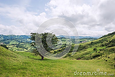 View over Monteverde Stock Photo