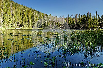 View over Nymph Lake in the Rocky mountain National Park in Colorado Stock Photo