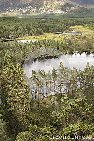 View over Uath Lochans at Glen Feshie in Scotland. Stock Photo