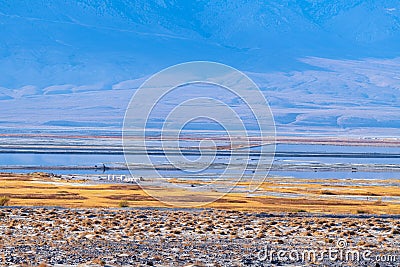 A view of the Owens Lake dust mitigation project in California,USA Stock Photo