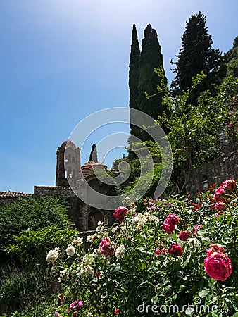 View of Pantanassa monastery, Mystras, Greece, in rose bushes and cypress trees Stock Photo