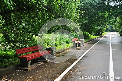 View of the park benches after the rain. Stock Photo