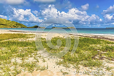 A view past sea grass from Orient beach in St Martin Stock Photo