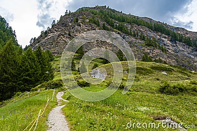 View of the path through an green alpine meadow. Stock Photo