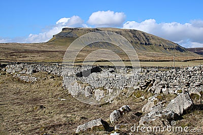 Drystone wall in view Pen-y-ghent North Yorkshire Stock Photo