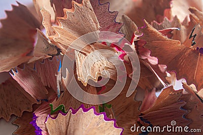 View of Pencil shavings arranged in a heap Stock Photo