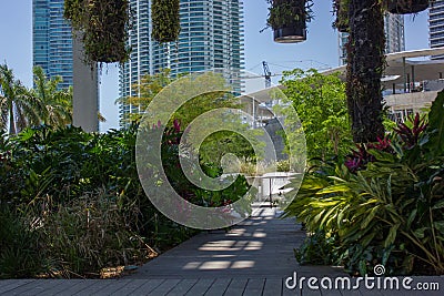 Landscape at Perez Art Museum in Miami Editorial Stock Photo