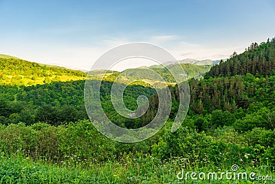 View of the picturesque forest and mountains of Transcaucasia, landscapes of Armenia Stock Photo