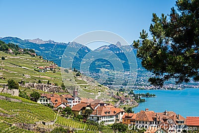 View on a little winery village called Rivaz in the famous Lavaux winery area., Switzerland Stock Photo