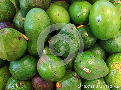 The view of a pile avocado on the box in the market Editorial Stock Photo