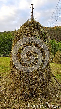 Pile of hay Stock Photo