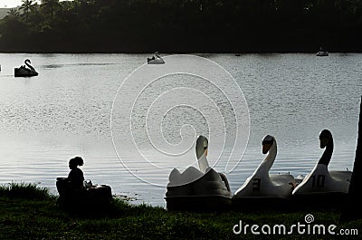 View of the Pituacu park lagoon with tourists using duck-shaped boats. City of Salvador, Bahia Editorial Stock Photo