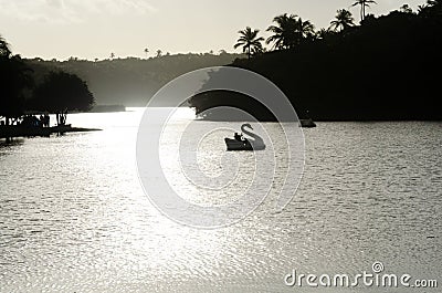 View of the Pituacu park lagoon with tourists using duck-shaped boats. City of Salvador, Bahia Editorial Stock Photo