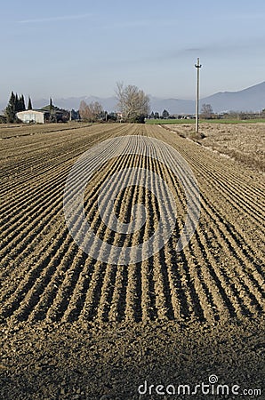 View of plowed land Stock Photo