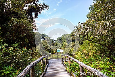 View point in the rainforest, north of Thailand Stock Photo