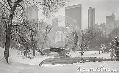 View of the Pond, Gapstow Bridge and Manhattan skyscrapers during a snowstorm. Stock Photo