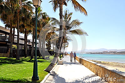 View of the promenade with beautiful palm trees in Castillo Caleta de Fuste,Fuerteventura, Canarias Editorial Stock Photo