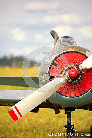 View on propeller on old russian airplane on green grass Stock Photo