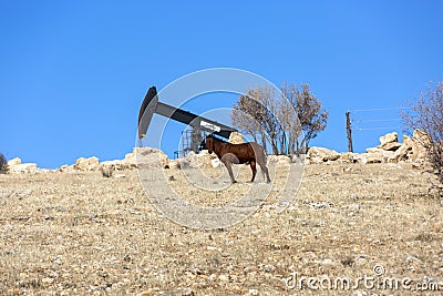 View of Pumpjack Horsehead at Daylight Oil Industry Stock Photo