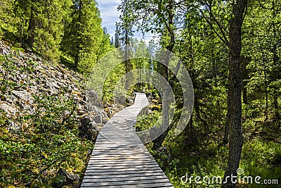 View of The Pyha-Luosto National Park in summer, wooden walkway, trees and rocks Stock Photo