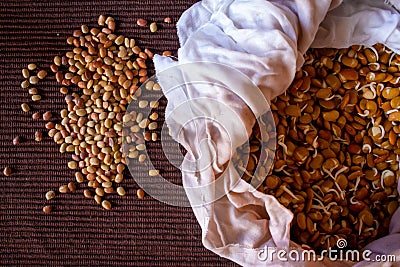 View of raw horse gram and the sprouted horse gram in a bowl. Also known as Macrotyloma uniflorum Stock Photo