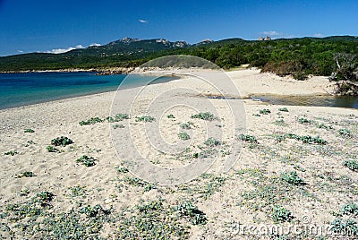 View of Razza di Junco beach, Costa Smeralda Stock Photo