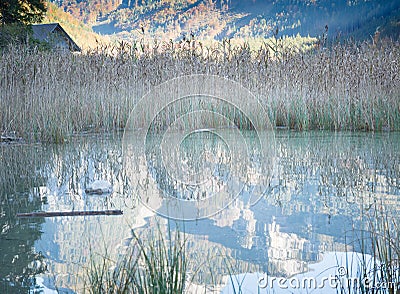View with reflection of reeds in the lake Stock Photo