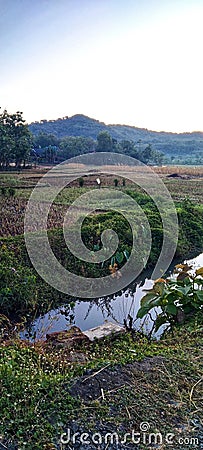 The view of the rice fields, mountains, small river, is very beautiful in the morning Stock Photo